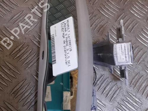 Used Interior roof light Interior roof light RENAULT LAGUNA III (BT0/1) 1.5 dCi (BT00, BT0A, BT0T, BT1J) (110 hp) 23724919 23724919