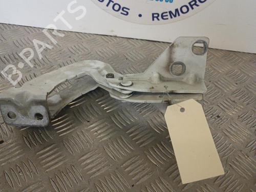 Hinge/Door check strap RENAULT KANGOO Express (FC0/1_)  | BP23725744C146 