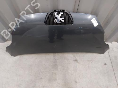 Hood PEUGEOT 107 (PM_, PN_) 1.4 HDi | BP23748260C1