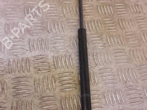 Used Tailgate lift support CITROËN C2 (JM_) 1.4 HDi (68 hp) 23728131