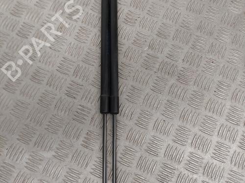 Tailgate lift support FORD FIESTA VI (CB1, CCN) 1.0 EcoBoost | BP25050436C138 