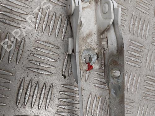 Hinge/Door check strap DACIA LOGAN MCV (KS_) 1.5 dCi (KS04) | BP32042610C146