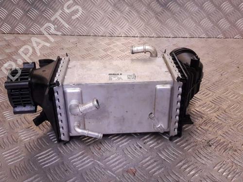 Used Intercooler Intercooler VW GOLF VIII (CD1, DA1) 1.5 TSI (131 hp) 23656325 23656325