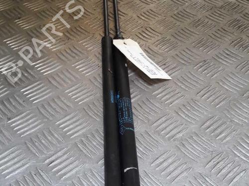 Used Tailgate lift support RENAULT MEGANE III Coupe (DZ0/1_) 1.5 dCi (DZ0A) (86 hp) 23725244
