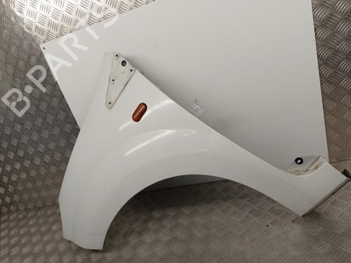 Left front fenders RENAULT TWINGO II (CN0_) 1.5 dCi (CN0E) | BP29864053C41