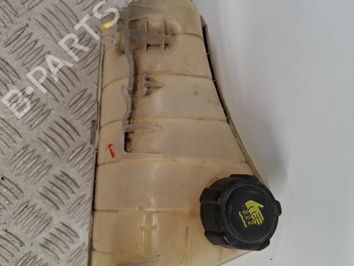 Expansion tank RENAULT KANGOO / GRAND KANGOO II (KW0/1_) 1.5 dCi 90 (KW05, KW08, KW0G, KW11) | BP29072761C120 