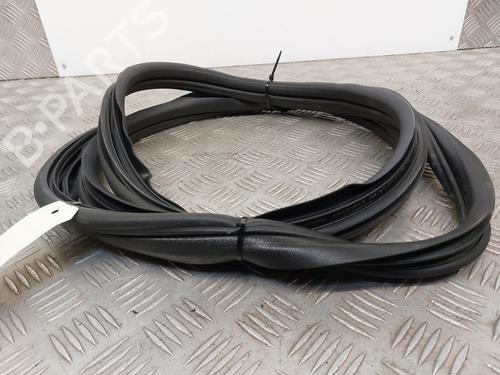 Rubber door seal RENAULT MEGANE II (BM0/1_, CM0/1_) 1.6 16V (BM0C, CM0C) | BP27366787C142 