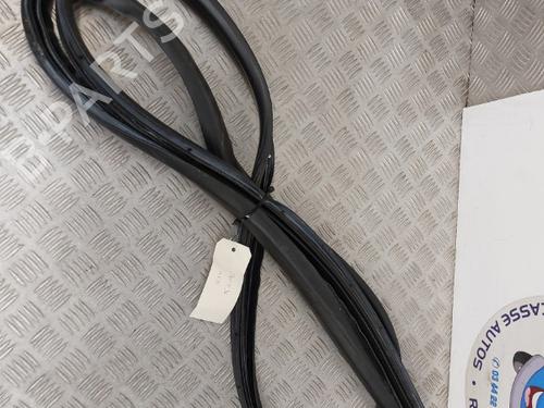 rubber-door-seal-renault-twingo-ii-cn0_-2007-23746203 main image