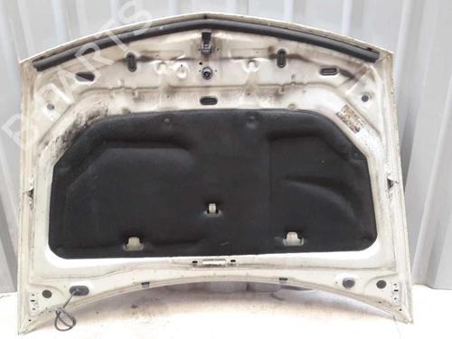 hood-renault-vel-satis-bj0_-2002-23657666 main image