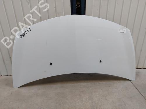 Hood RENAULT CLIO III (BR0/1, CR0/1) 1.5 dCi (C/BR0G, C/BR1G) | BP28130817C1 