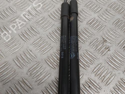 Tailgate lift support CITROËN C3 / C3 ORIGIN III (SX) 1.6 BlueHDi 75 | BP28352276C138 