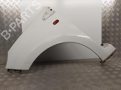 Left front fenders RENAULT TWINGO II (CN0_) 1.5 dCi (CN0E) | BP29864053C41