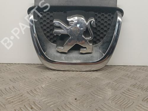 Used Grille PEUGEOT 308 I (4A_, 4C_) 1.6 HDi (109 hp) 29053578