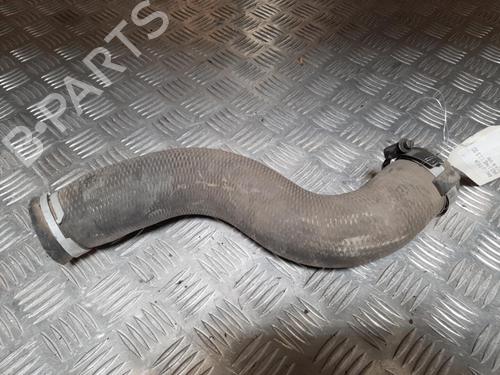 Pipe RENAULT KANGOO Express (FW0/1_) 1.5 dCi 70 (FW0A, KW0V) | BP24851667M125