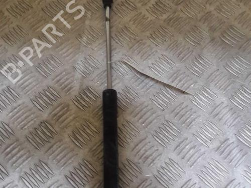 Hood lift support RENAULT CLIO IV (BH_) 0.9 TCe 90 (BHNF, BHMA, BHMH, BHJK, BHJR) | BP23734570C139 