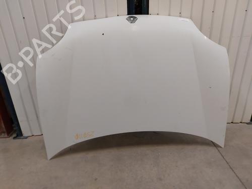 Hood RENAULT KANGOO Express (FC0/1_) 1.2 (FC01, FC0A, FC0F) | BP24654321C1 