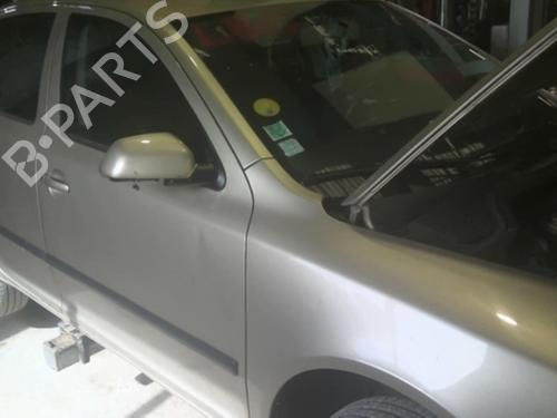 Used Right front door SKODA OCTAVIA II (1Z3) 1.9 TDI (105 hp) 23715485