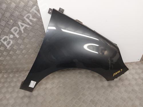 Right front fenders RENAULT SCÉNIC III (JZ0/1_) 1.5 dCi | BP26147998C42 