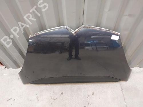 Hood CITROËN C4 Grand Picasso I (UA_) 2.0 HDi 138 | BP23659057C1