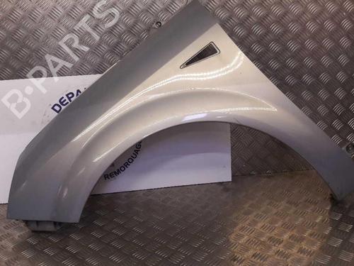 Used Left front fenders RENAULT SCÉNIC II (JM0/1_) 1.9 dCi (JM0G, JM12, JM1G, JM2C) (120 hp) 23718201