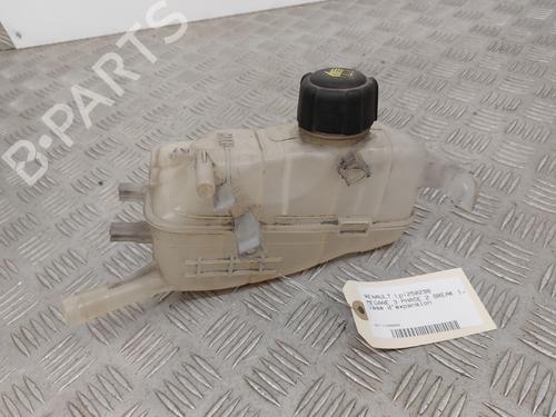 Expansion tank RENAULT MEGANE III Grandtour (KZ0/1) 1.5 dCi (KZ09, KZ0D, KZ1G, KZ29, KZ14, KZ1W, KZ10, KZ1F,... | BP29334298C120 