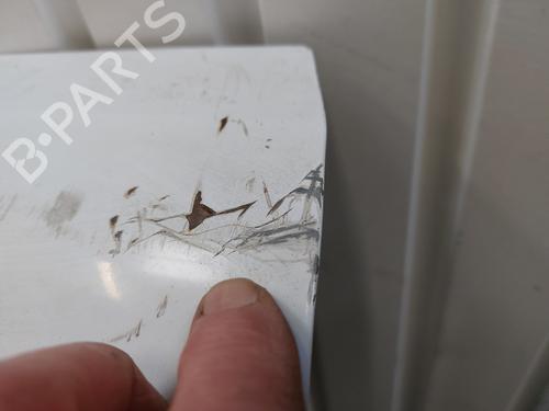 Left tailgate RENAULT KANGOO Express (FW0/1_) 1.5 dCi 90 (FW0G, FW05, FW08, FW11) | BP31666472C76 