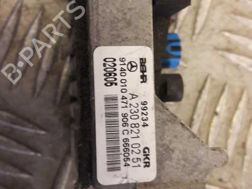 Used Control unit MERCEDES-BENZ M-CLASS (W163) ML 400 CDI (163.128) (250 hp) 24853414