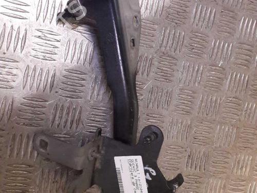 Used Hinge/Door check strap Hinge/Door check strap RENAULT SCÉNIC III (JZ0/1_) 1.5 dCi (110 hp) 23718350 23718350