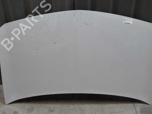 Used Hood RENAULT MEGANE II (BM0/1_, CM0/1_) 1.5 dCi (BM02, BM13, BM2A, CM02, CM13) (101 hp) 23716339