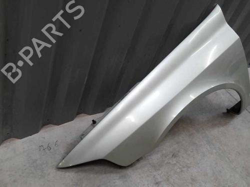 Left front fenders RENAULT LAGUNA II (BG0/1_) 1.9 dCi | BP23658538C41 