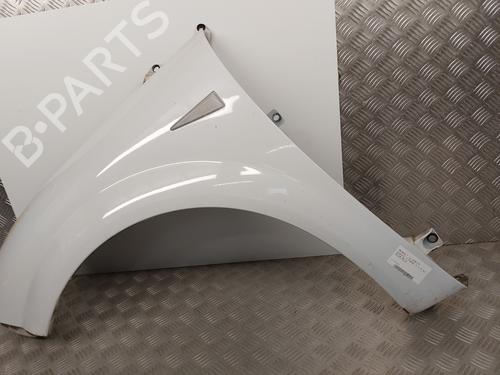 Left front fenders RENAULT SCÉNIC II (JM0/1_) 1.5 dCi (JM1E, JM16) | BP25916412C41 