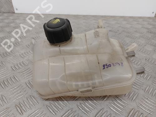 Expansion tank RENAULT MEGANE III Grandtour (KZ0/1) 1.5 dCi (KZ09, KZ0D, KZ1G, KZ29, KZ14, KZ1W, KZ10, KZ1F,... | BP29334298C120 