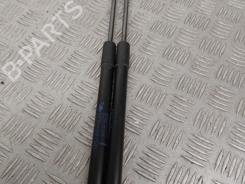 Used Tailgate lift support RENAULT MEGANE III Grandtour (KZ0/1) 1.5 dCi (KZ09, KZ0D, KZ1G, KZ29, KZ14, KZ1W, KZ10, KZ1F,... (110 hp) 29334290