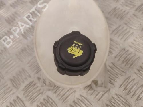 Used Expansion tank RENAULT CLIO IV (BH_) 1.5 dCi 75 (75 hp) 23738033