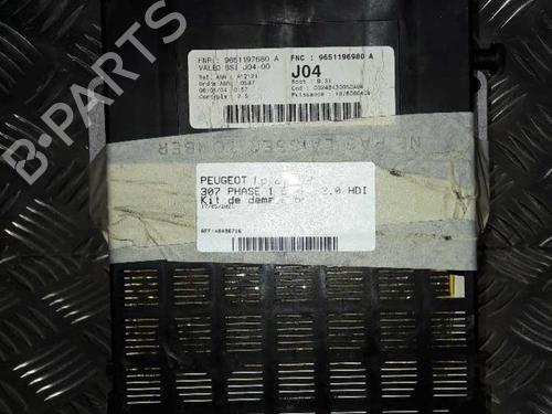 Used Electronic module PEUGEOT 307 Break (3E) 2.0 HDI 110 (107 hp) 24851664
