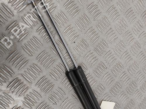tailgate-lift-support-renault-clio-iii-br01-cr01-2005-2006-2007-2008-2009-2010-2011-2012-2013-2014-29323525 main image