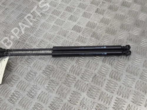 Tailgate lift support RENAULT CLIO IV (BH_) 1.5 dCi 75 | BP23736948C138 