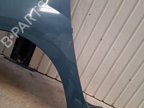 Left front fenders RENAULT KANGOO / GRAND KANGOO II (KW0/1_) 1.5 dCi 90 (KW05, KW08, KW0G, KW11) | BP29026441C41 