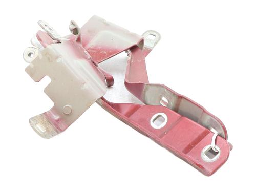 hingedoor-check-strap-renault-clio-iv-bh_-2012-2013-2014-2015-2016-2017-2018-2019-2020-2021-30577424 main image