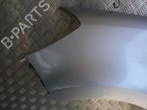 Left front fenders RENAULT CLIO III (BR0/1, CR0/1) 1.5 dCi (C/BR0G, C/BR1G) | BP24241275C41 