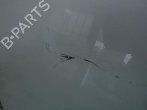 Right front fenders RENAULT CLIO III (BR0/1, CR0/1) 1.5 dCi | BP24242854C42 