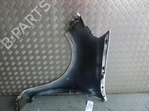 Right front fenders RENAULT CLIO III (BR0/1, CR0/1) 1.5 dCi | BP24242854C42 