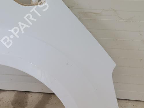 Right front fenders FORD S-MAX (WA6) 2.0 TDCi | BP30183230C42 