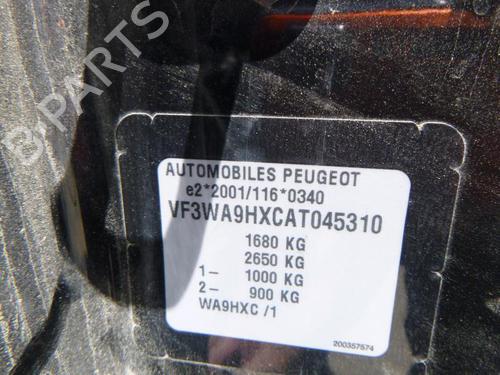 Tailgate PEUGEOT 207 (WA_, WC_) 1.6 HDi | BP24242363C6 