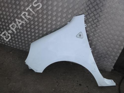 Used Left front fenders RENAULT KANGOO Express (FW0/1_) 1.5 dCi 85 (FW0K, FW0L, FW0B) (86 hp) 24242253