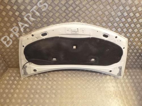 Hood RENAULT CLIO III (BR0/1, CR0/1) 1.5 dCi (C/BR0G, C/BR1G) | BP24241630C1 