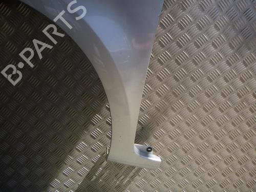 Left front fenders RENAULT CLIO III (BR0/1, CR0/1) 1.5 dCi (C/BR0G, C/BR1G) | BP24241275C41 