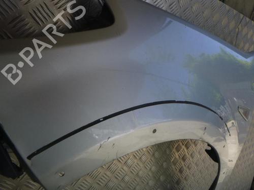 Left front fenders DACIA SANDERO 1.5 dCi | BP24240489C41 