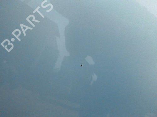 Hood CITROËN BERLINGO / BERLINGO FIRST MPV (MF_, GJK_, GFK_) 2.0 HDI 90 (MFRHY) | BP24242278C1 