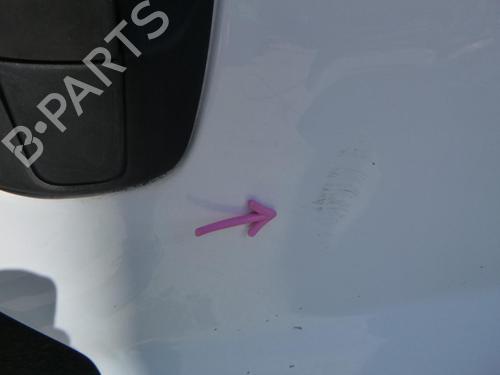 Right front door OPEL VIVARO A Van (X83) 1.9 DTI (F7) | BP24242173C3 